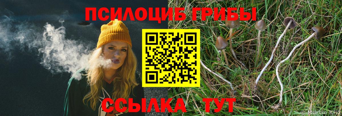 Рассказово  Галлюциногенные грибы MAGIC MUSHROOMS  наркота  Вход с VPN  Псилоцибиновые грибы мухоморы 